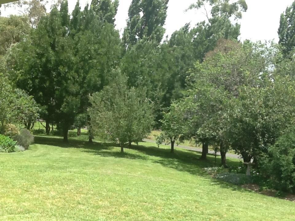 Glen Waverly Farmstay Glen Innes Cameră foto