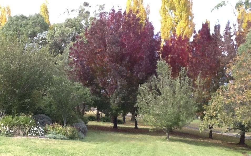Glen Waverly Farmstay Glen Innes Cameră foto