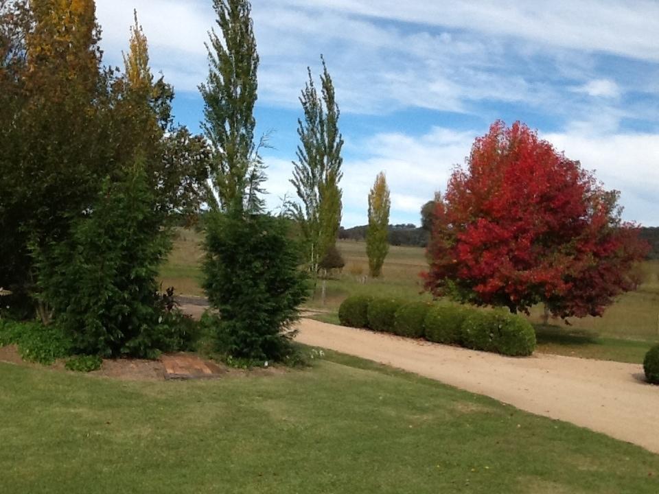 Glen Waverly Farmstay Glen Innes Cameră foto